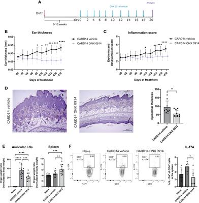 Immunoproteasome inhibition attenuates experimental psoriasis